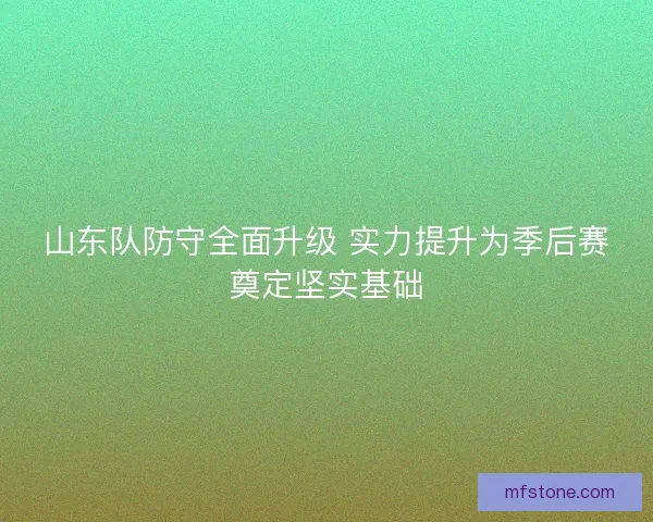 山东队防守全面升级 实力提升为季后赛奠定坚实基础